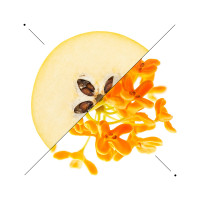 tiziana terenzi sirrah